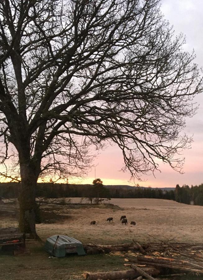 Stuga Vid Viltaker Naera Norska Graensen Stromstad Bagian luar foto
